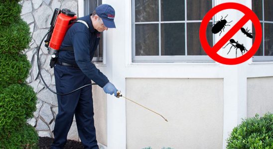 Balatçık Fare İlaçlama böcek ilaçlama ve haşere kontrolü — ilaclama-tr.com